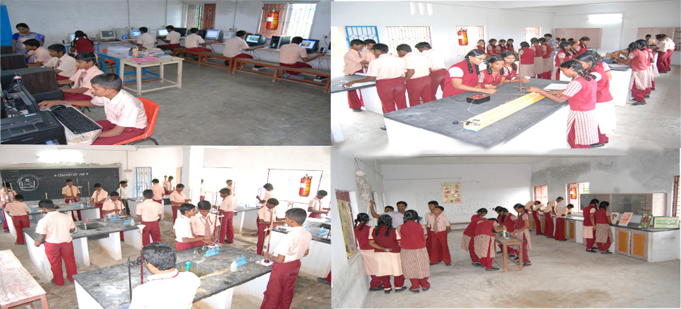 Tirkoilur Collegs, Tirkoilur Schools